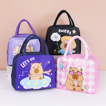 Capybara Pattern Insulated Kids Lunch Box