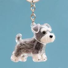 Transparent Dog Hair Storage Capsule
