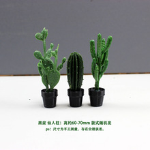 Miniature Immortal Pillar Potted Plant Model