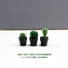 Miniature Immortal Pillar Potted Plant Model