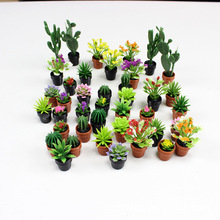 Miniature Immortal Pillar Potted Plant Model